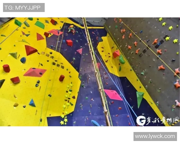 攀岩战术解析：北京攀岩队如何构建整体压制体系与战术优势