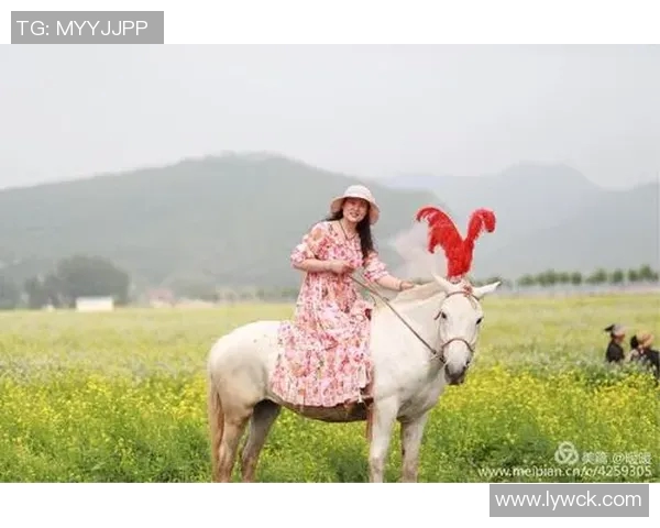 追逐梦想与爱情的交汇点足球明星背后的女人们