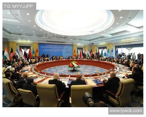 上海排球队在杯赛中的团队协作表现分析与启示 上海排球队在杯赛中的团队协作表现分析与启示